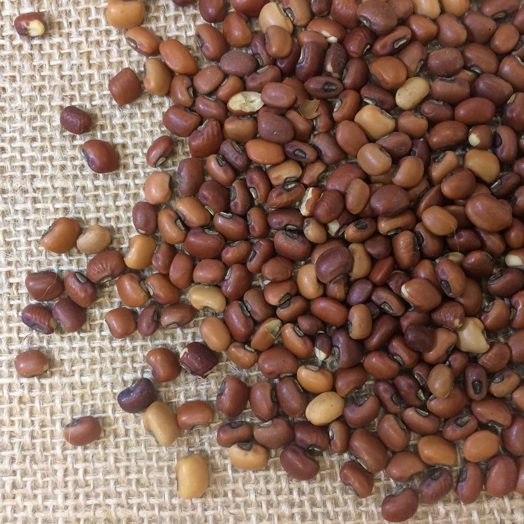 IRON & CLAY COWPEAS Douglass King Seeds